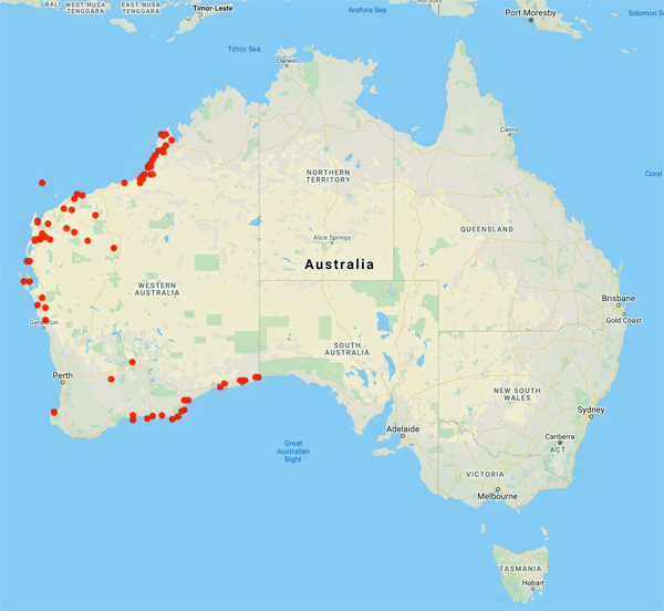 collecting locality map for 'Carey, H.S.'