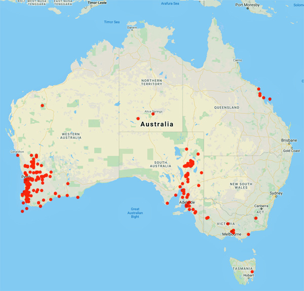 collecting locality map for 'Koch, M.'