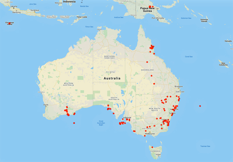 collecting locality map for 'Wace, N.M.'