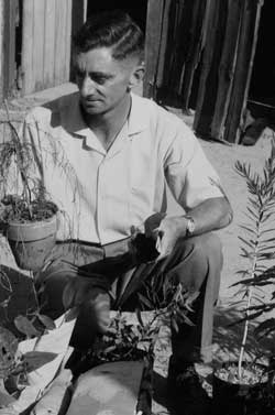 Ron Hill from the Botanic Gardens of South Australia and State Herbarium collection