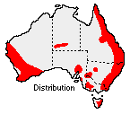 Callistemon distribution map