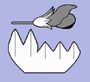 image fullsize