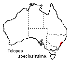 Telopea speciosissima distribution map