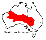 Swainsona formosa distribution map