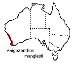 Anigozanthos manglesii distribution map
