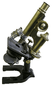 Leitz microscope c.1900