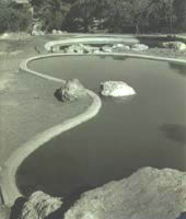 photo: pools