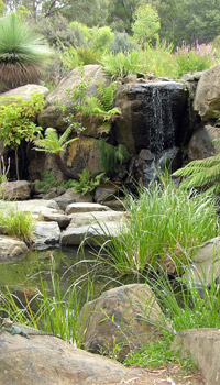 pool Rock Garden