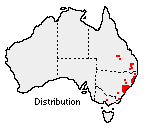 Image of Actinotus helianthi distribution map