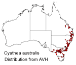 Cyathea australis distribution map