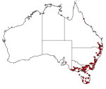 Dicksonia antarctica distribution