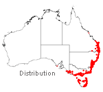 Acacia suaveolens distribution map