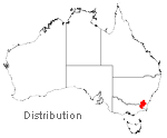 Eucalyptus lacrimans distribution map
