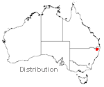 Grevillea mollis distribution map