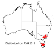 Distribution map for Muehlenbeckia axillaris