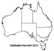 Eucalyptus langleyi distribution