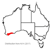 Banksia coccinea distribution