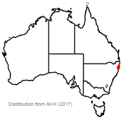 Zieria prostrata distribution