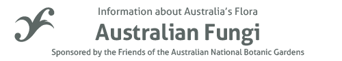 Australian Fungi - information about Australia's flora