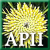 APII logo