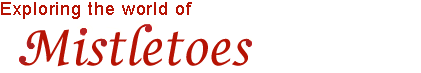 title - mistletoes
