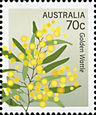 stamp - Acacia pycnantha