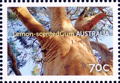 stamp: Corymbia citriodora