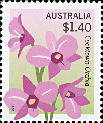 stamp - Dendrobium phalaenopsis