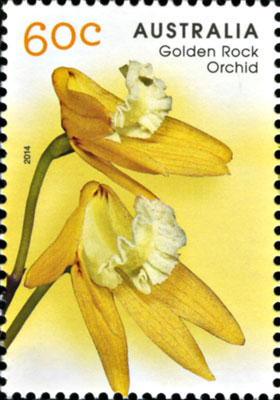 stamp - Dockrillia striolata