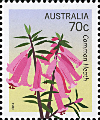 stamp - Epacris impressa