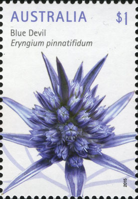 stamp: Eryngium pinnatifidum