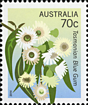 stamp - Eucalyptus globulus