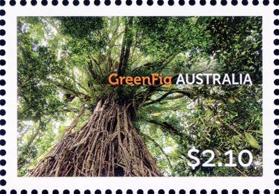 stamp: Ficus virens