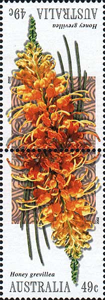 stamp: Grevillea juncifolia