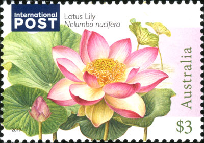 Stamp: Nelumbo nucifera