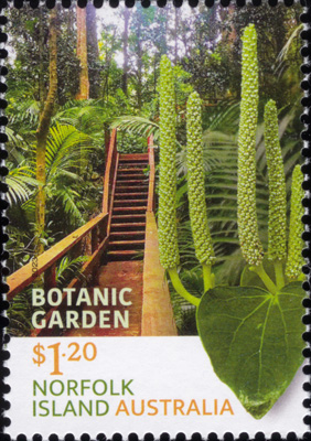 Piper excelsum on Norfolk Island Botanic Gardens postage stamp