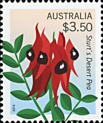 stamp - Swainsona formosa