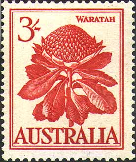 Telopea speciosissima stamp