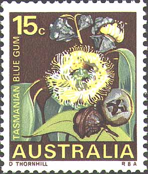 Eucalyptus globulus stamp
