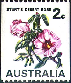 Gossypium sturtianum stamp