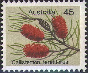 Callistemon teretifolius stamp